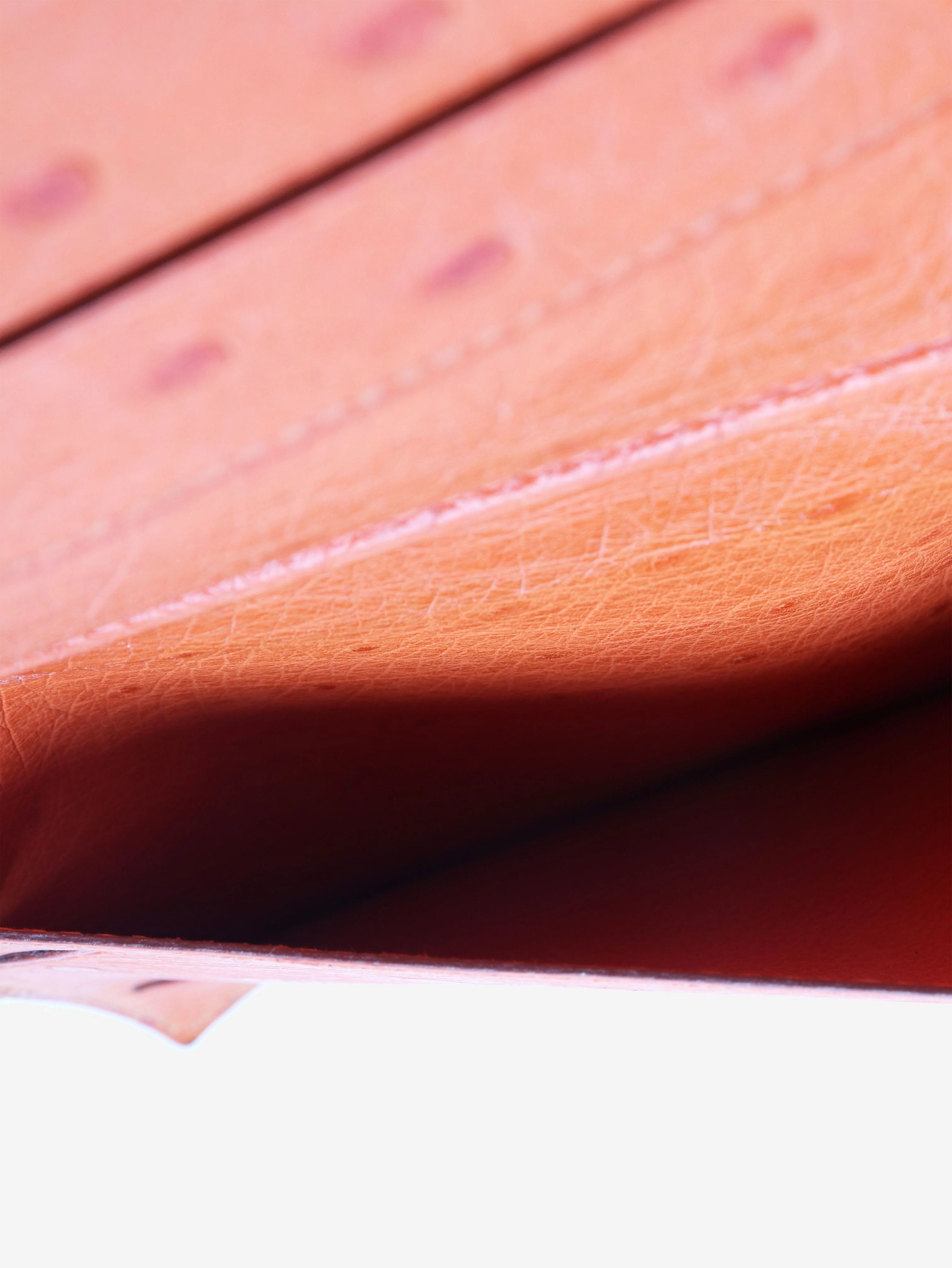 Orange Ostrich leather document holder - Image 4