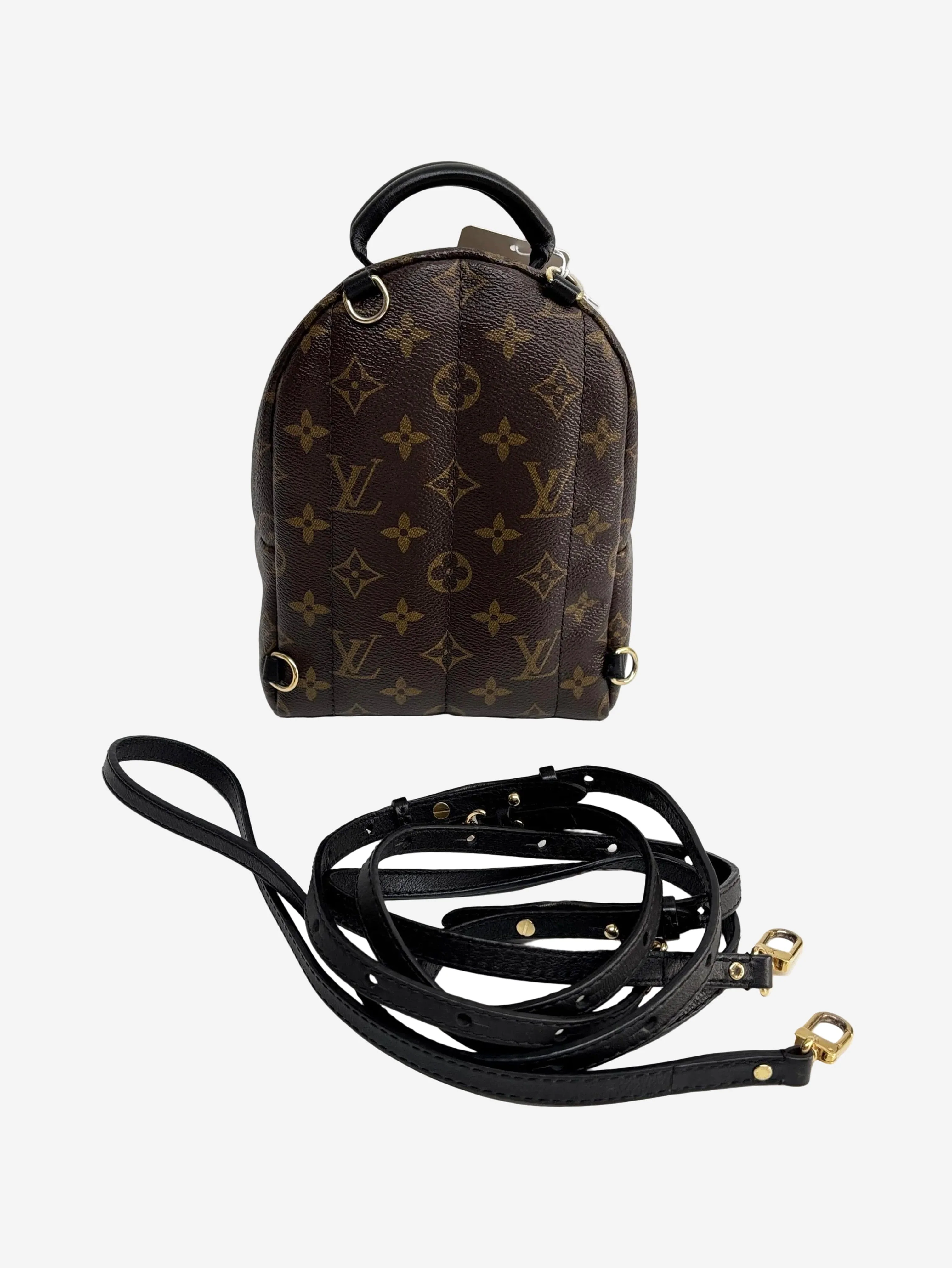 Brown 2016 Palm Springs mini backpack - Image 3